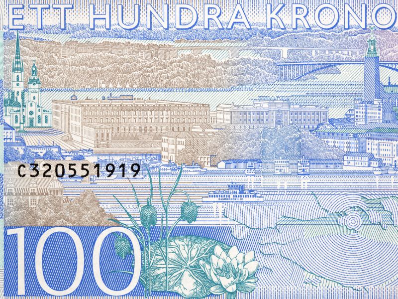 100 schwedische Kronen Geldschein